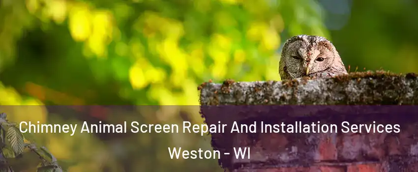  Chimney Animal Screen Repair And Installation Services Weston - WI