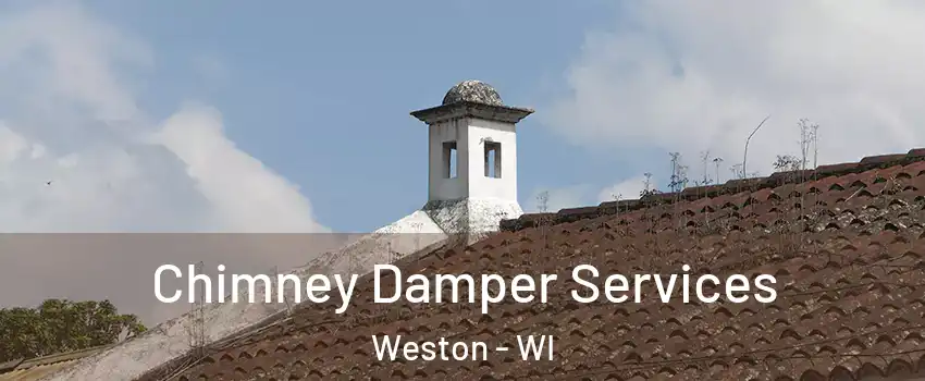  Chimney Damper Services Weston - WI