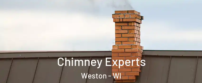 Chimney Experts Weston - WI