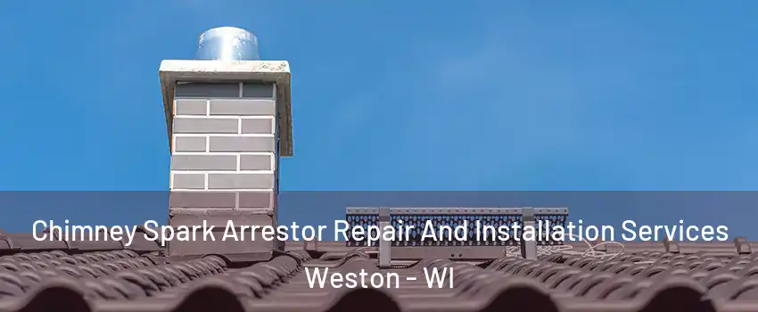  Chimney Spark Arrestor Repair And Installation Services Weston - WI