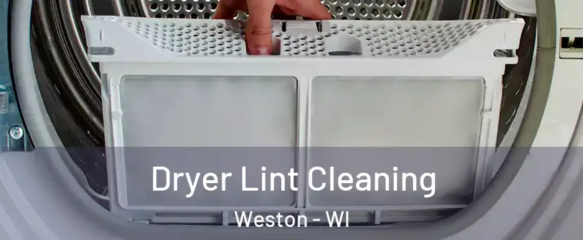  Dryer Lint Cleaning Weston - WI