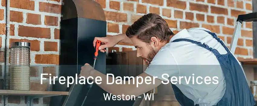  Fireplace Damper Services Weston - WI