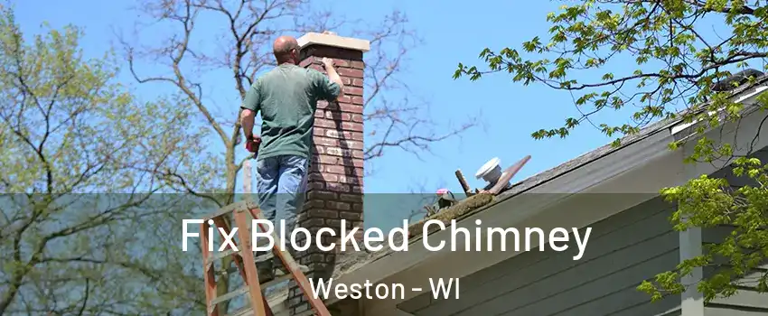  Fix Blocked Chimney Weston - WI