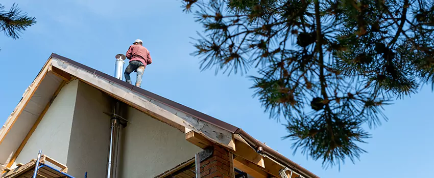 Birds Removal Contractors from Chimney in Weston, WI