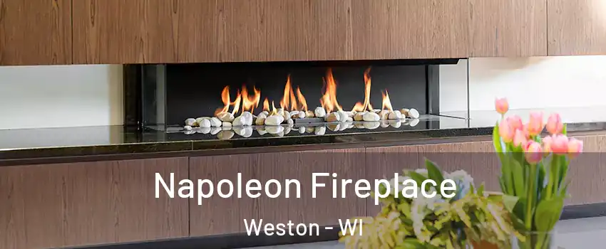  Napoleon Fireplace Weston - WI